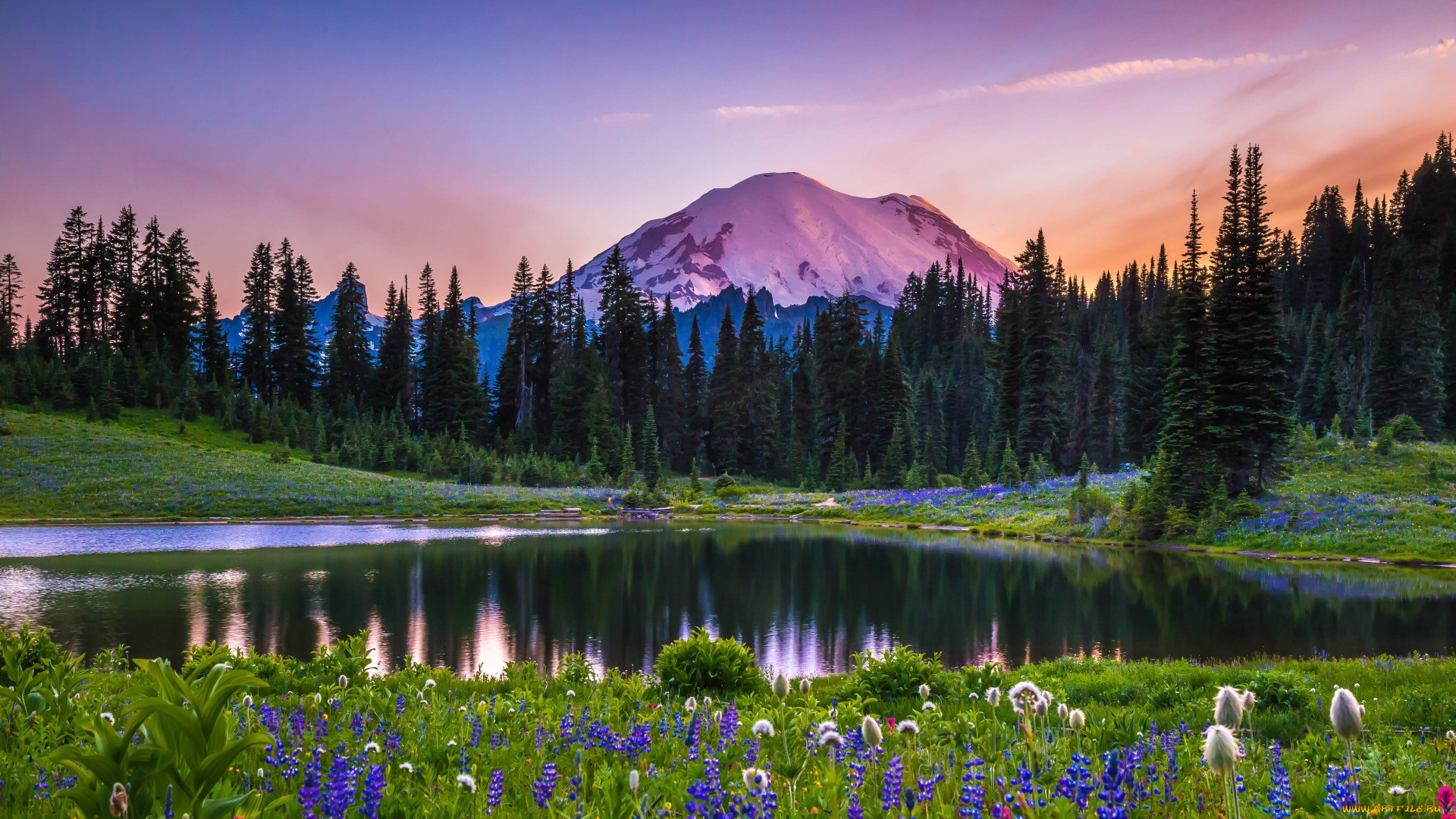 tipsoo lake, mount rainier np, washington, , , , tipsoo, lake, mount, rainier, np